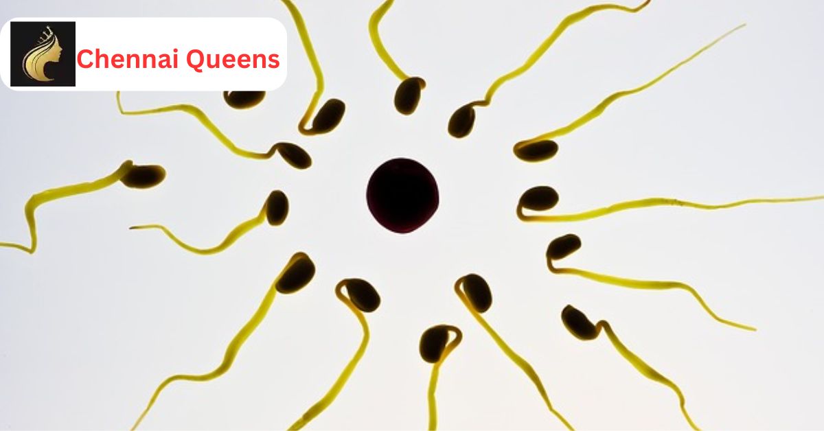 The Best Sex Positions for a Sex Swing Sex Swing